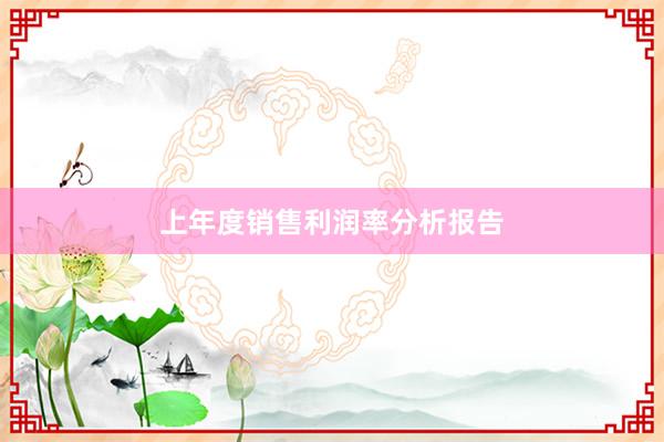 上年度销售利润率分析报告